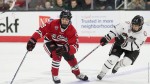 Men's Hockey Sweeps Omaha-Nebraska