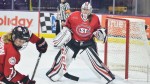 Women's Hockey Draws Twice Against No. 6 Ohio State